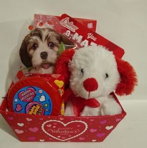 Boys Valentines Small Gift Basket